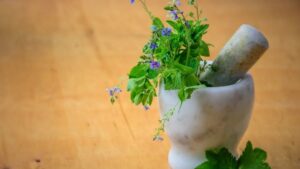 Importance of Herbal Medicine